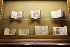 瀵屽＋鏂戒箰m115fs